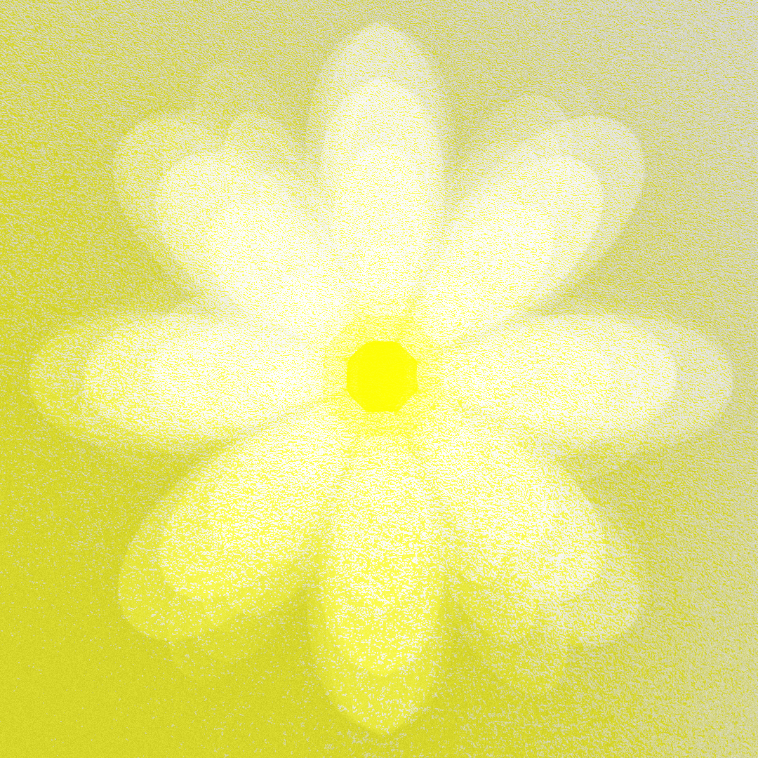 🌼 Floraison tardive / Late bloom | Jardin botanique thumbnail