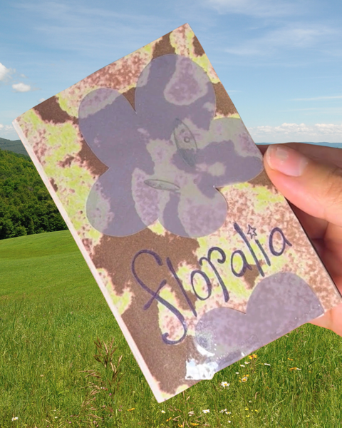 gift the gift of z-mail thumbnail