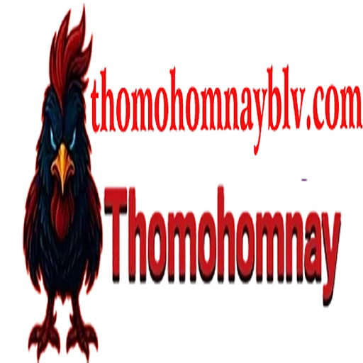 THOMOHOMNAY blv (@thomohomnayblvcom) on Tumblr thumbnail