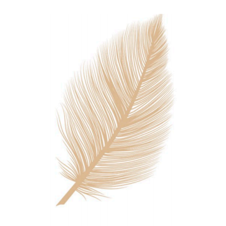 Clube da Reforma Íntima  thumbnail