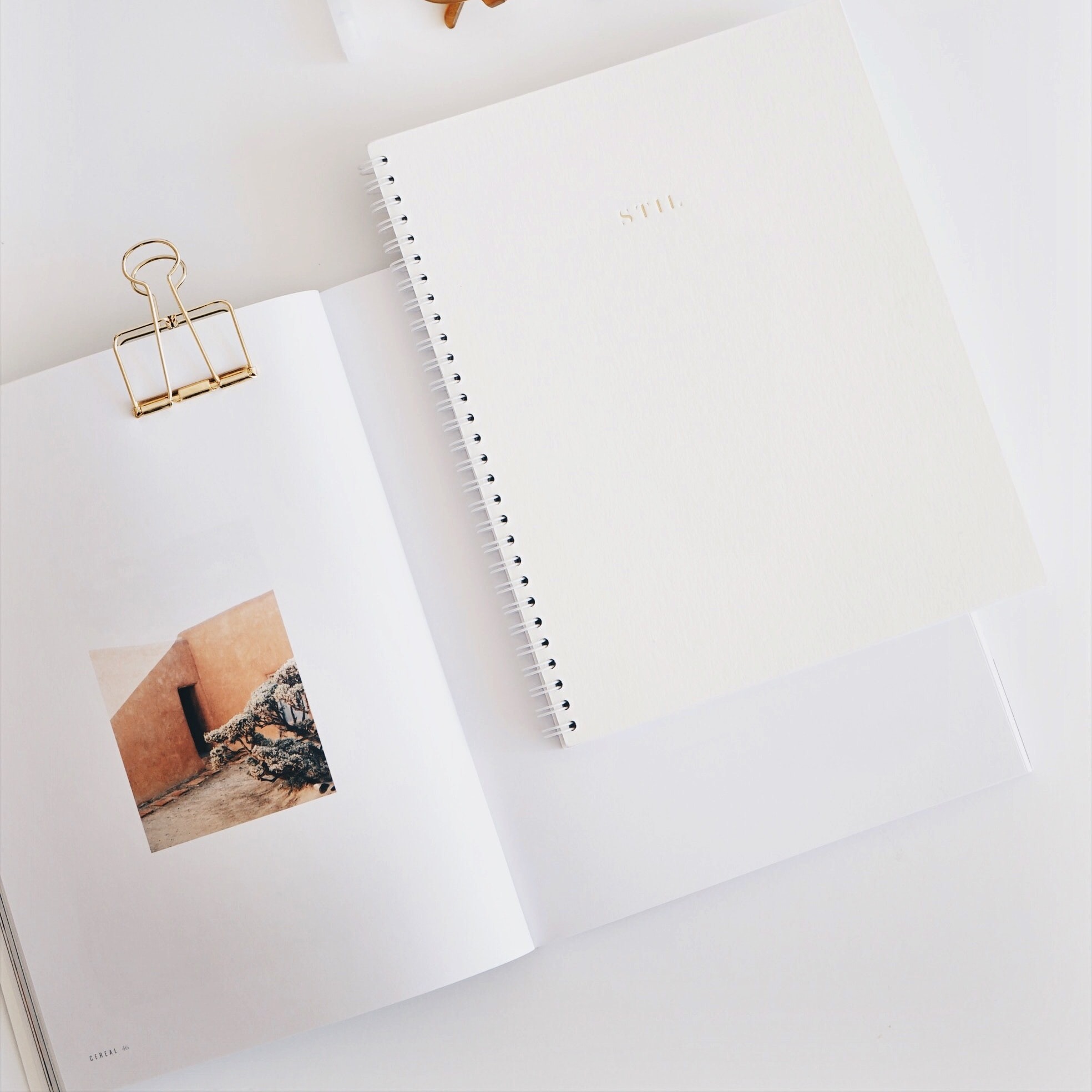 Book a one hour call with Jenna thumbnail