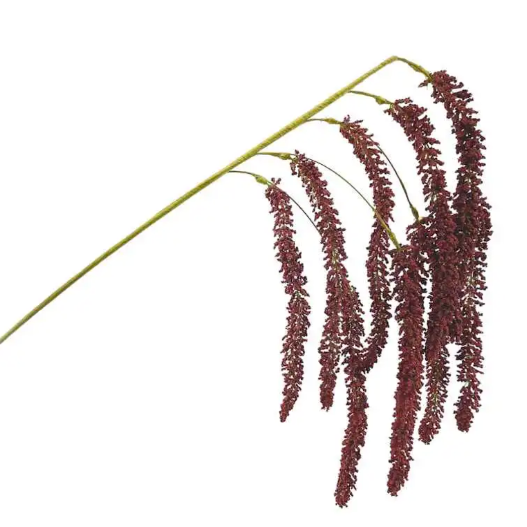 amaranthus in christmas tree thumbnail