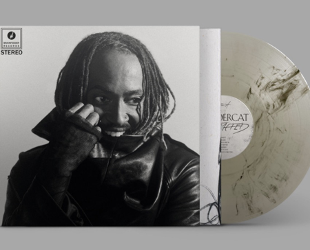Thundercat - Distracted… thumbnail