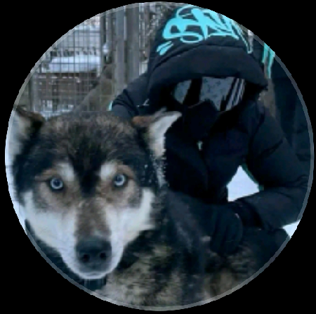 Método Leleu - Plus - atualizado  thumbnail