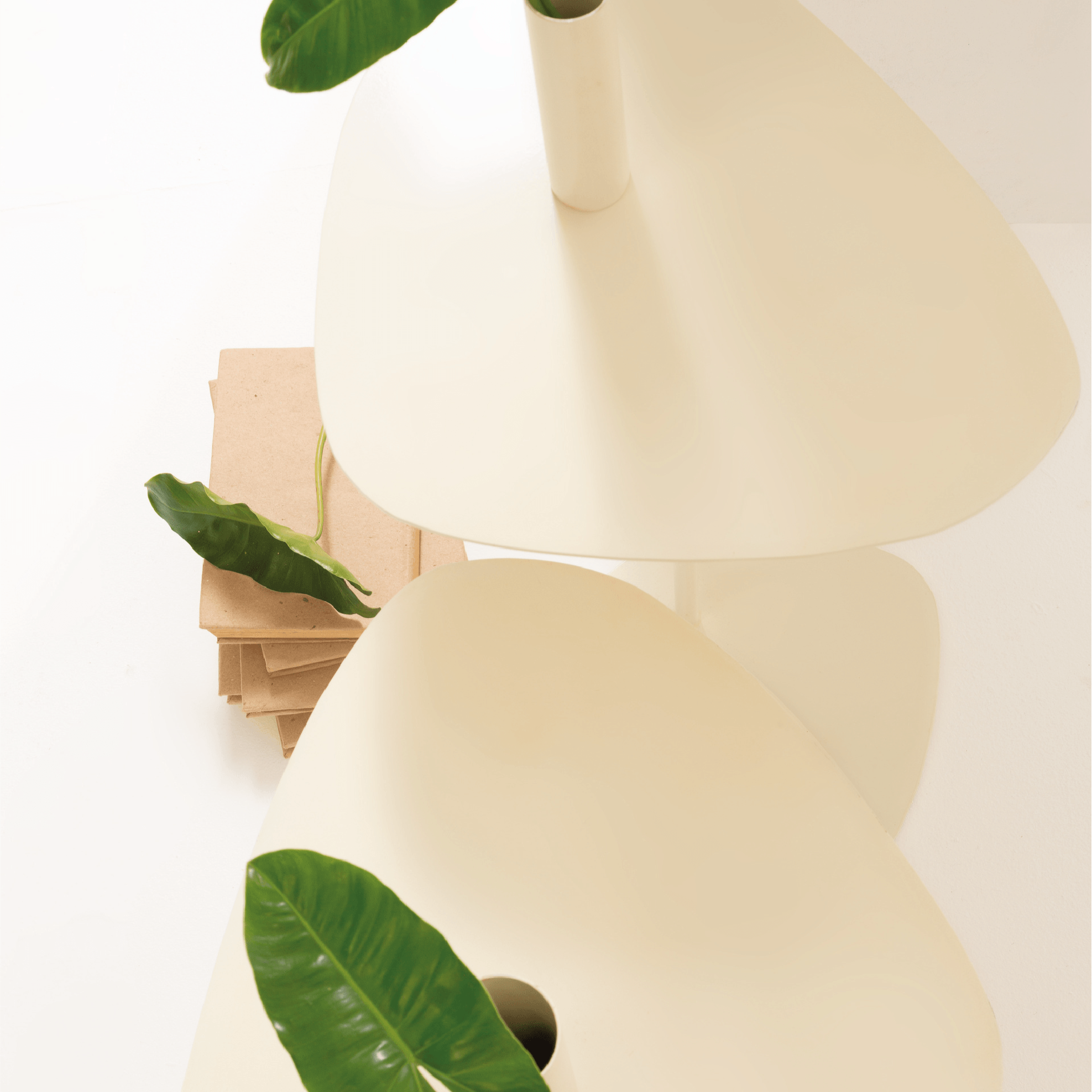 Madre Mesa thumbnail