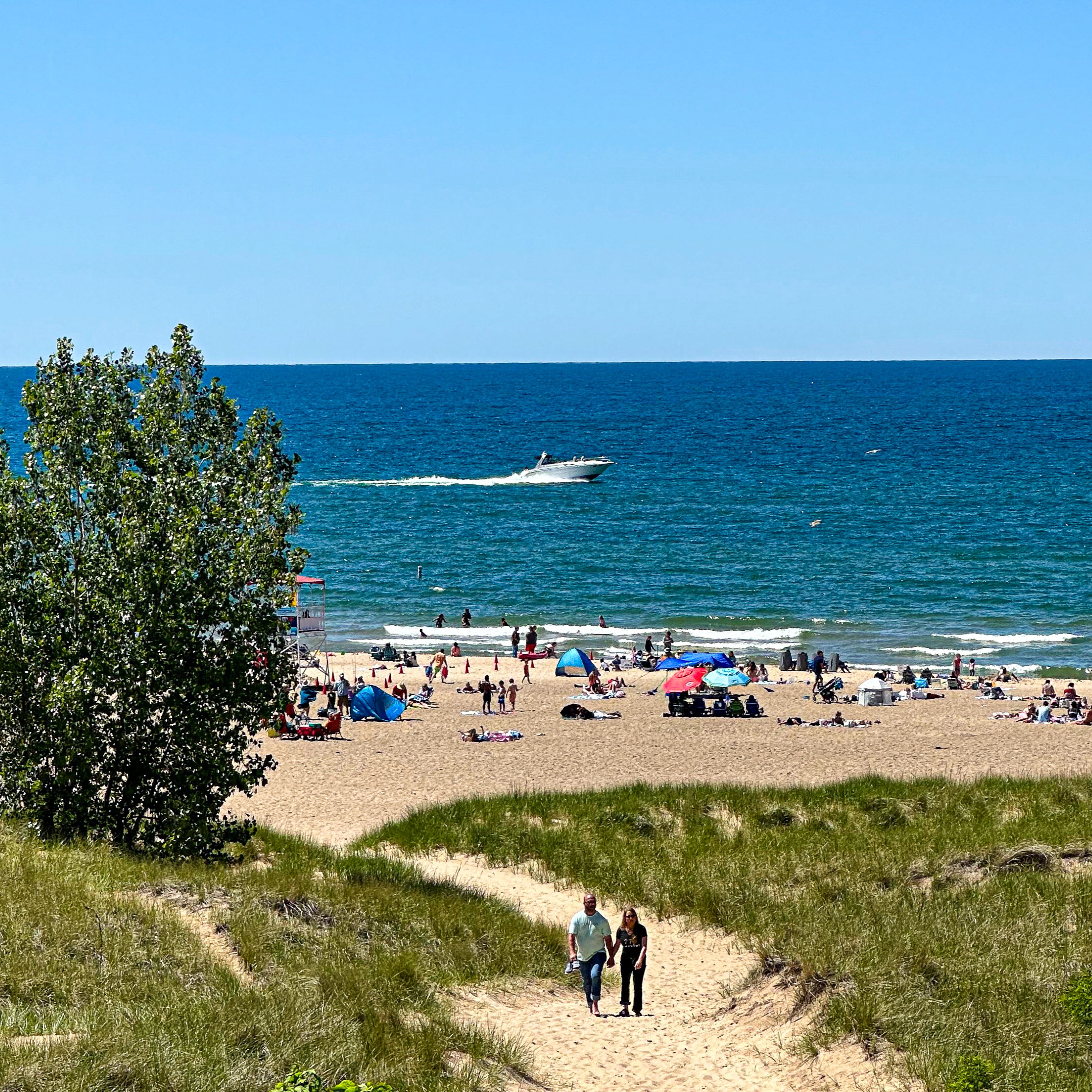 Michigan Harbor Country Dining Guide thumbnail