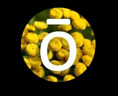 doTerra Oils thumbnail