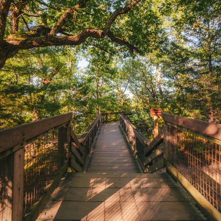 Find a Hike thumbnail