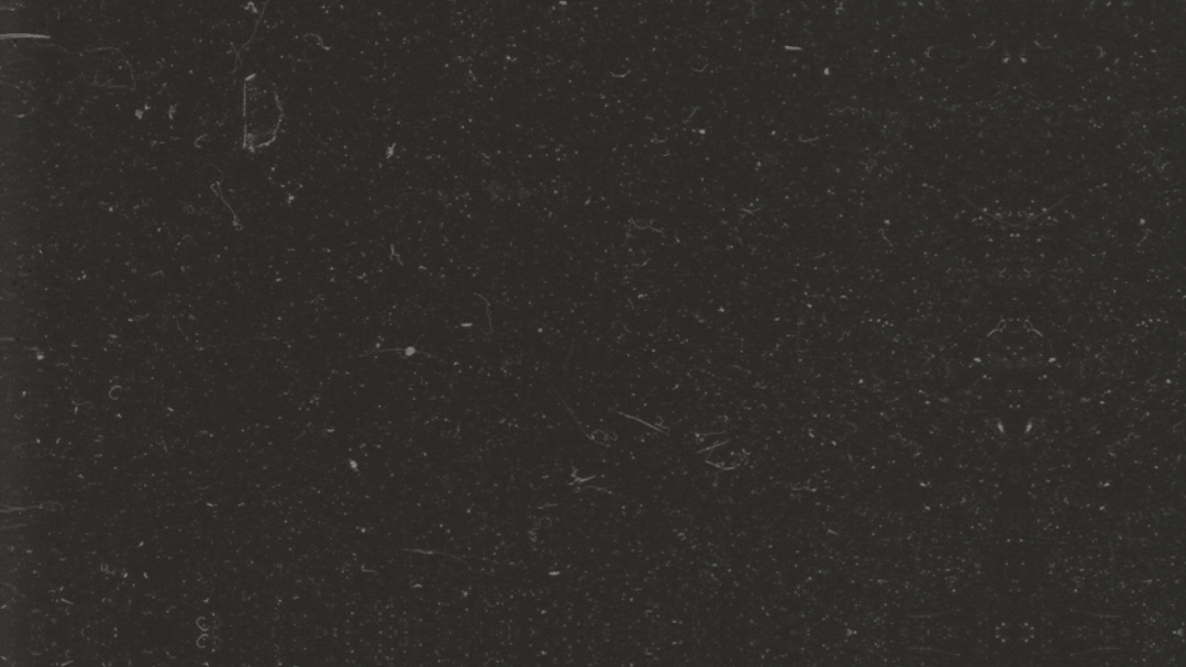 BioSite banner for @luiz
