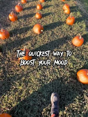 Double tap if you agree #pumpkinpatch (s) are an instant #moodbooster 🎃🧡 . . .  #fallaesthetic #foryoupage #fallvibes🍂 #