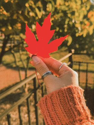 October stay a bit longer ✨🍁#corememories #capcutedit #foreverautumn #autumnaesthetic #fallishere🍁 #leaves #foryoupage #