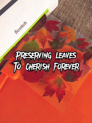 add this to your fall bucket list 🍁#CapCut #diybookmark #autumnseason #fallaesthetic #autumnaesthetic #foryoupage #fypシ 