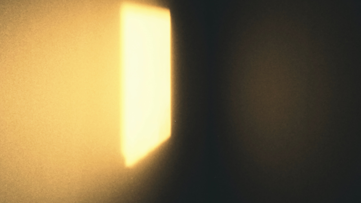BioSite banner for @txe