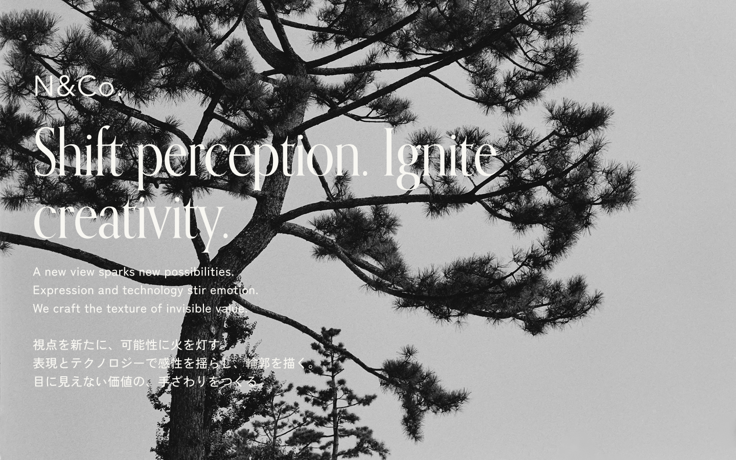 N&Co. | A studio that shifts perspectives and shapes resonance thumbnail