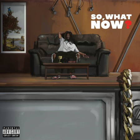 SO, WHAT NOW? (PROJECT) thumbnail
