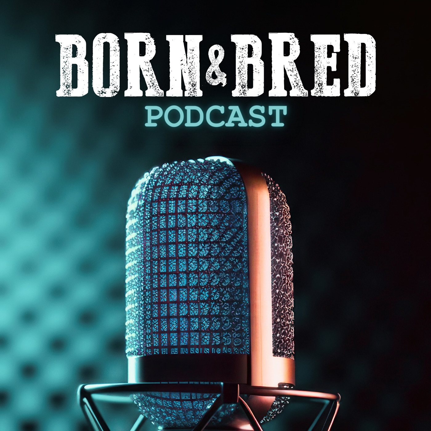 Check out Episode 6 of The Born & Bred podcast! In this episode we talk about some recent events, upcoming festivals to 