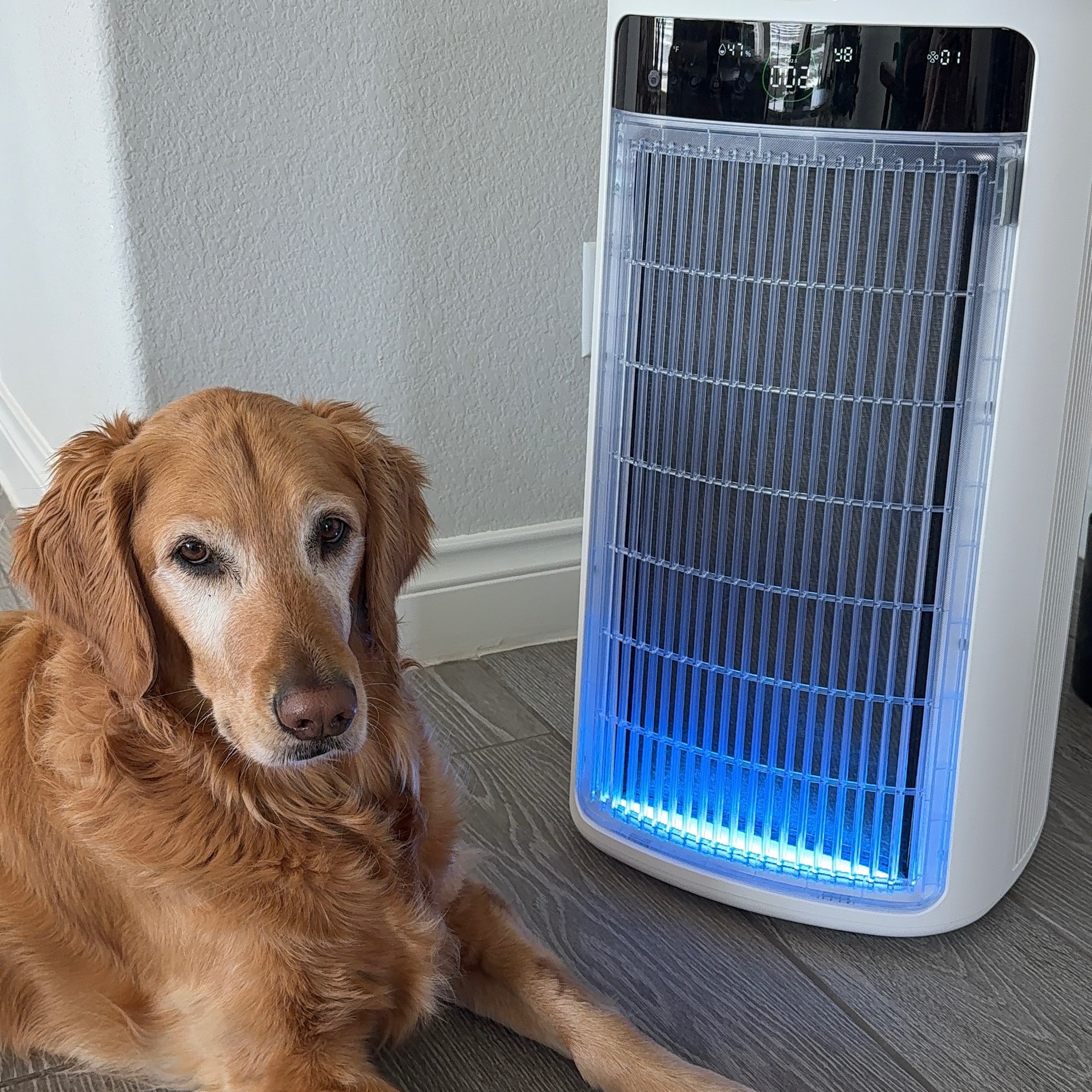 SOLEUSAIR Pet friendly-Air Purifier thumbnail