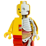 Corpo humano para crianças thumbnail