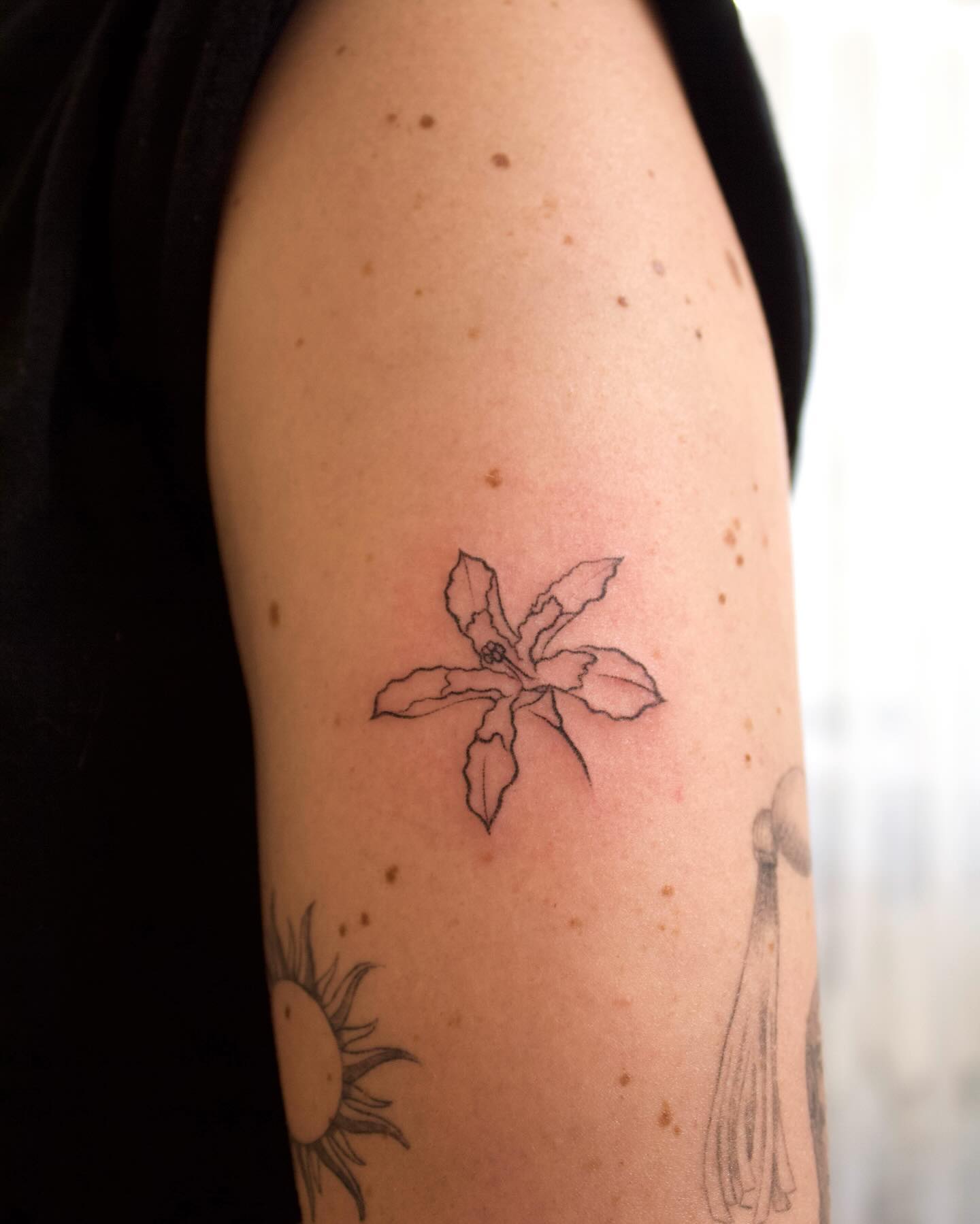 Flor de Ceiba Rosada para Maria 🤍🪽