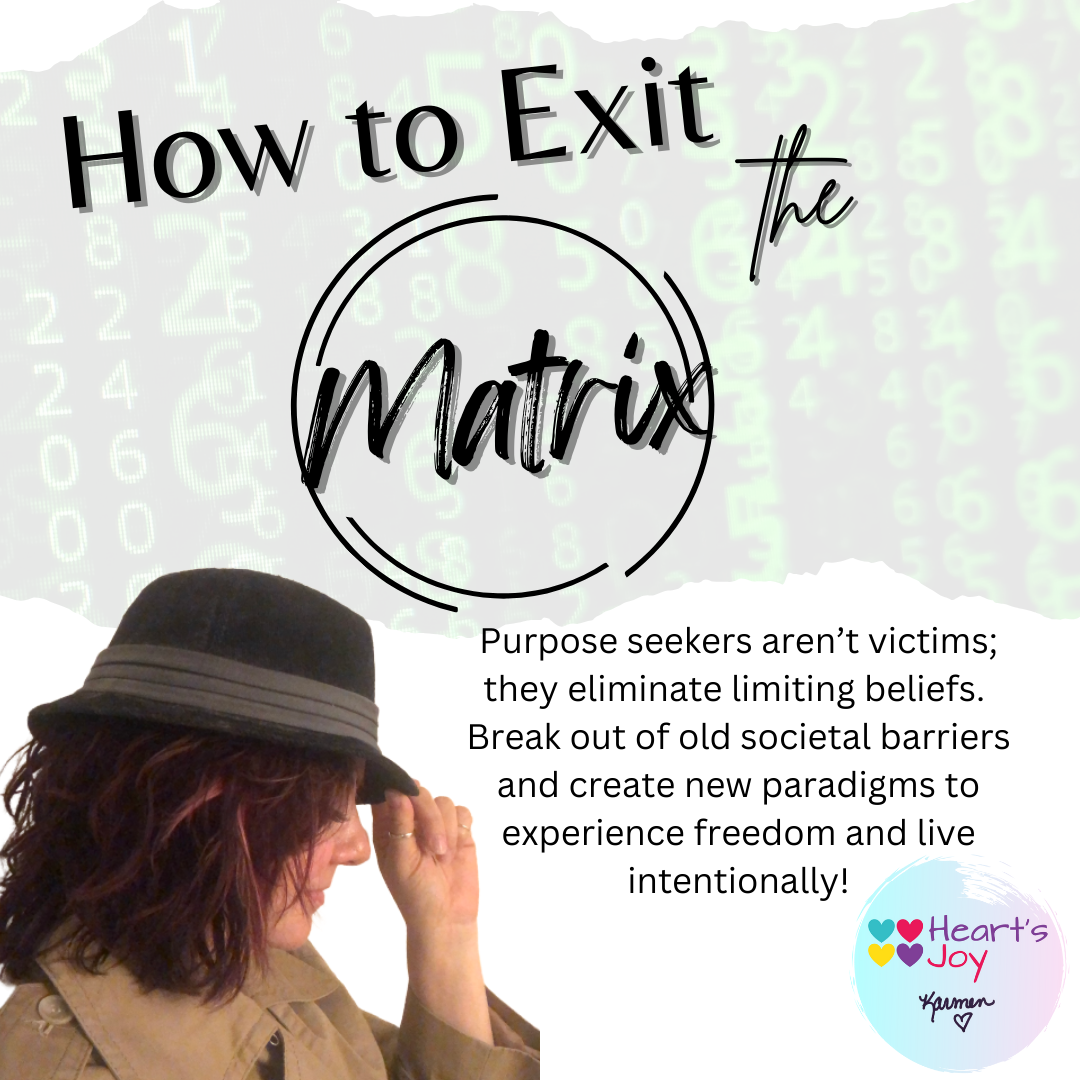 How to Exit the Matrix program thumbnail