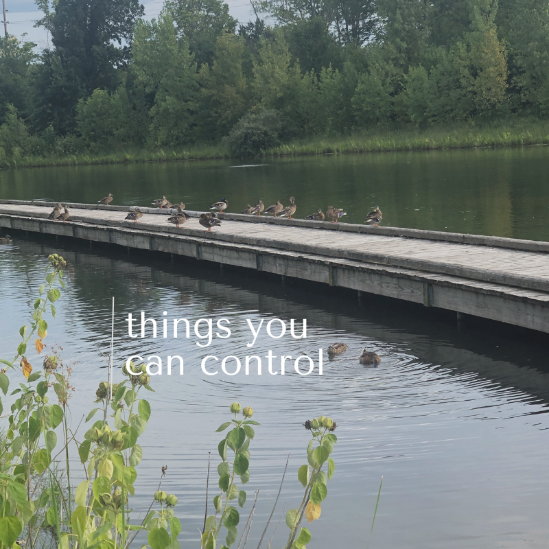 "Things You Can Control to Live Your Purpose" Series thumbnail