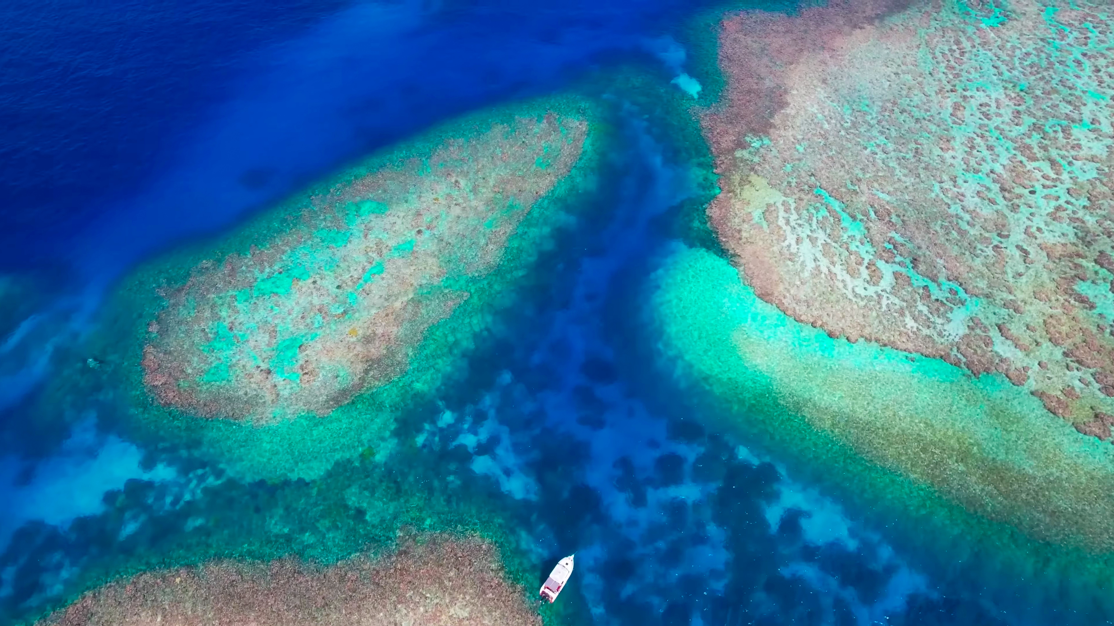 HEADING NORTH THE COAST OF QUEENSLAND FOR PAPUA NEW GUINEA - ParadiseXplorers - Great Barrier Reef Sailing Expedition showcase (press this picture to go to the photo collection) thumbnail