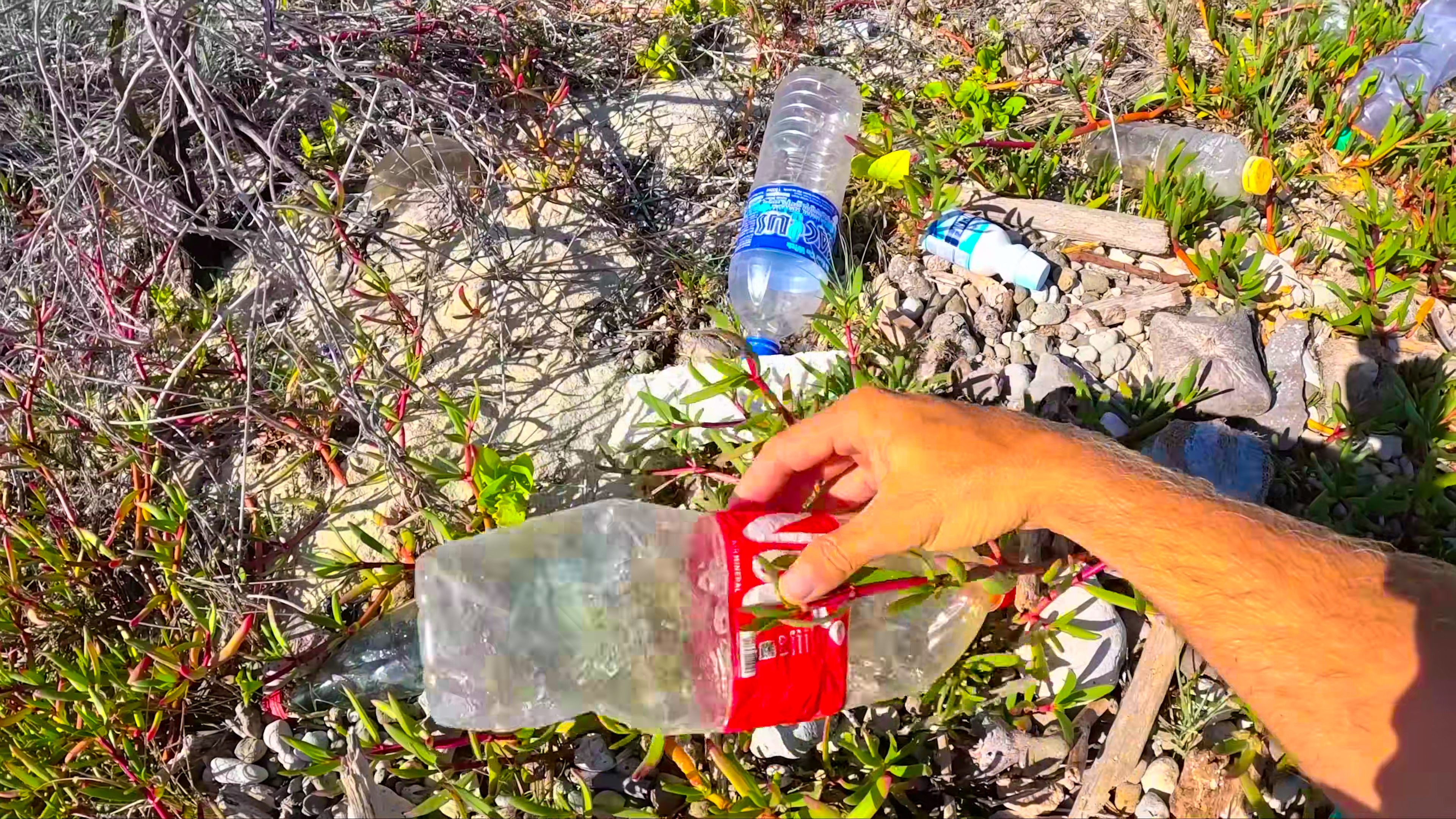 BEACH CLEANUPS ON THE COAST OF QUEENSLAND thumbnail