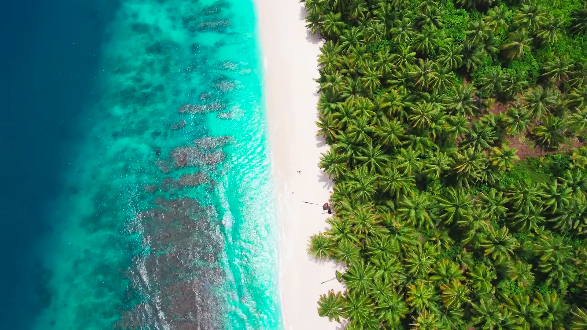 HAVE LONG WALKS OR GO JOGGING ON THE BEACH thumbnail
