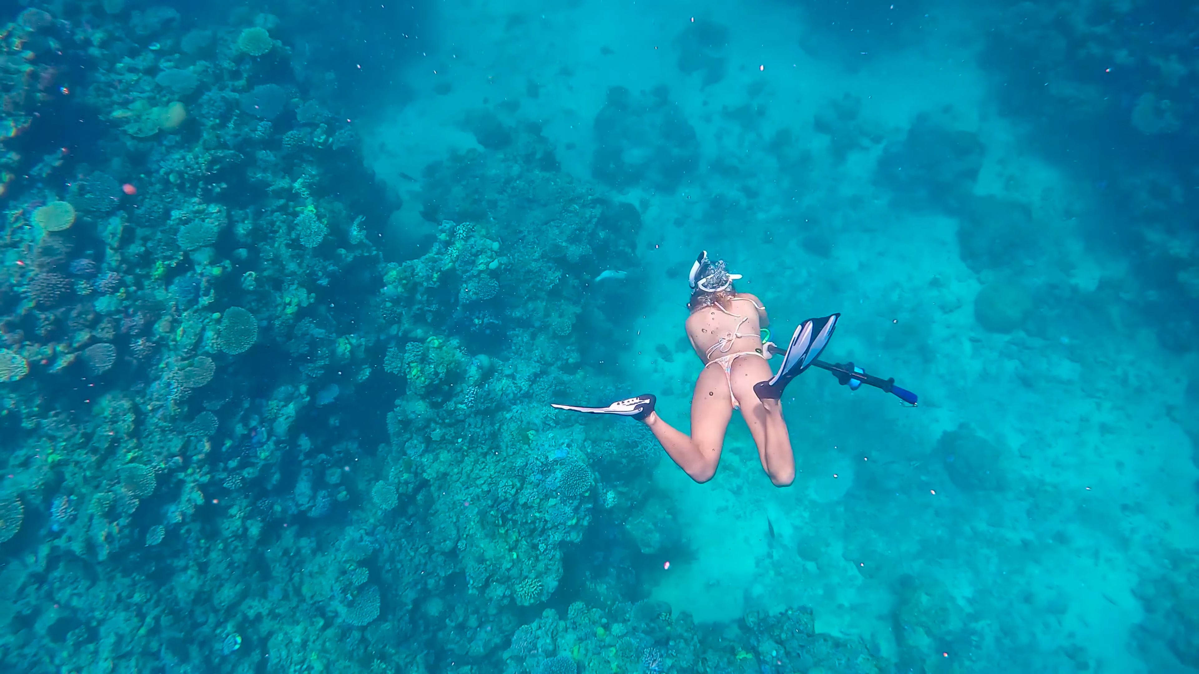LEARN ESSENTIAL SURVIVAL SKILLS LIKE HARPOON FISHING thumbnail