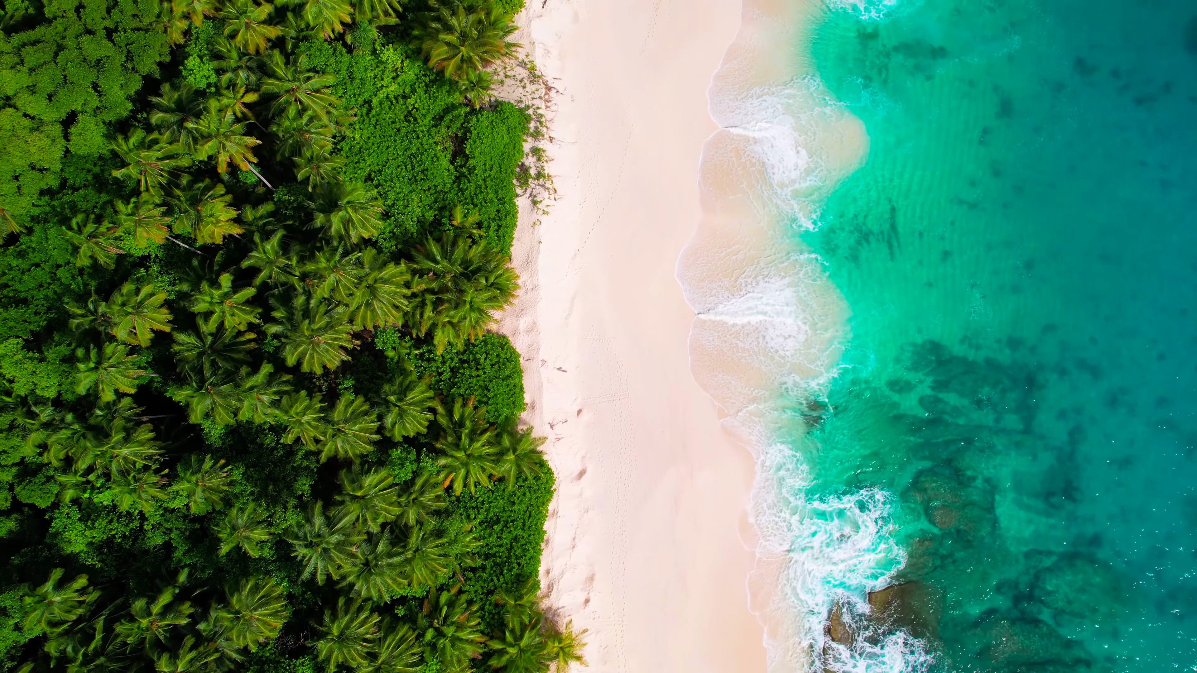 COAST OF QUEENSLAND thumbnail