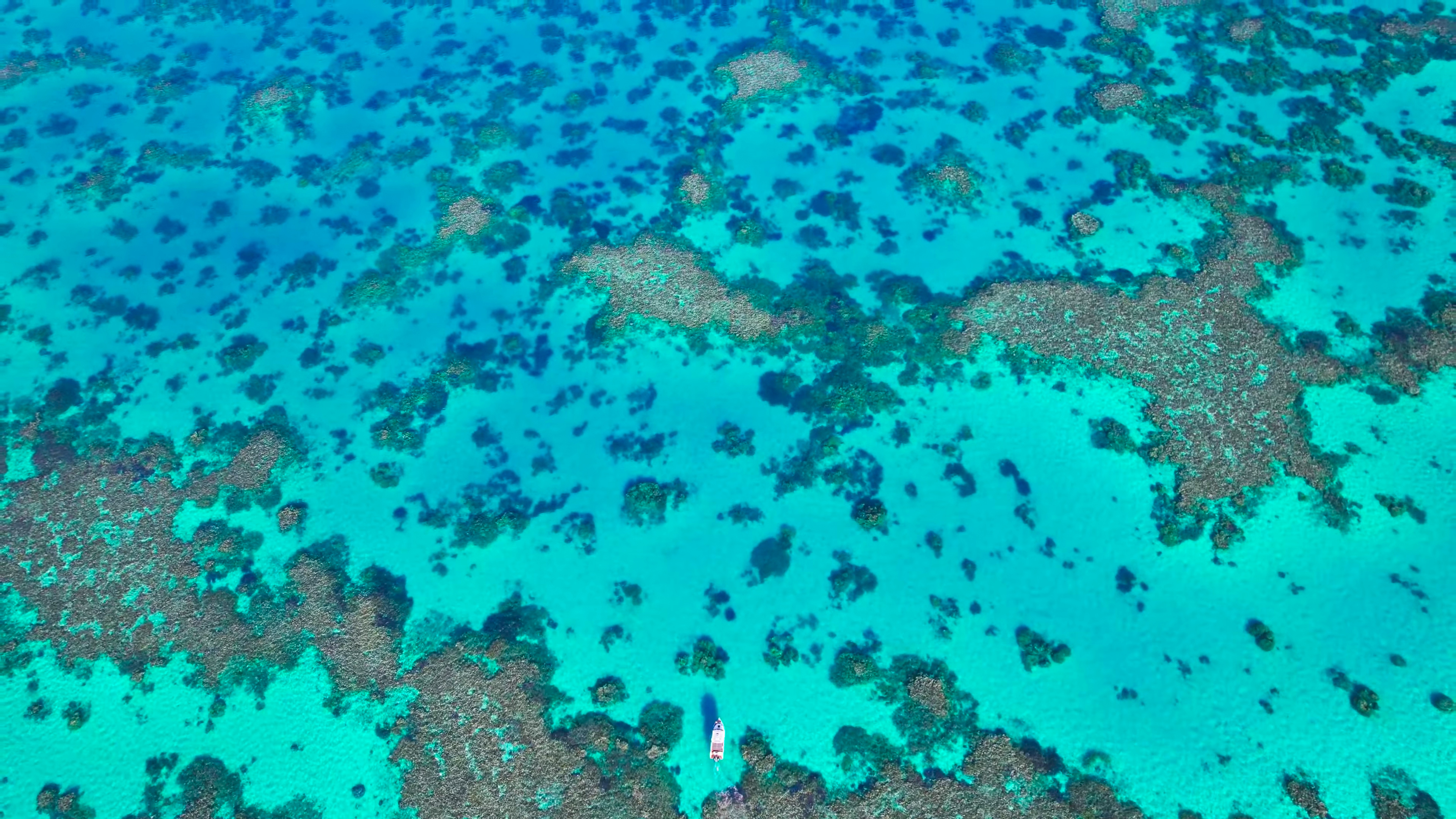 COAST OF QUEENSLAND thumbnail