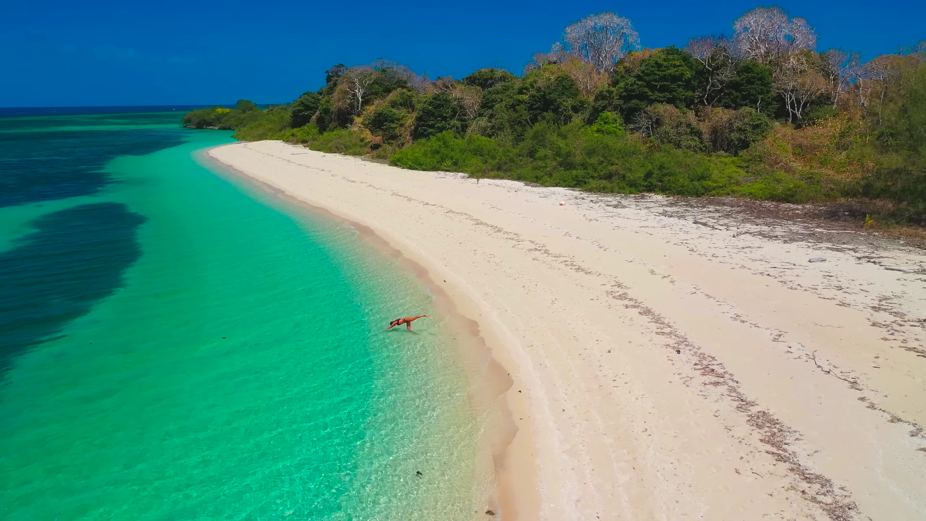 THE COAST OF QUEENSLAND thumbnail
