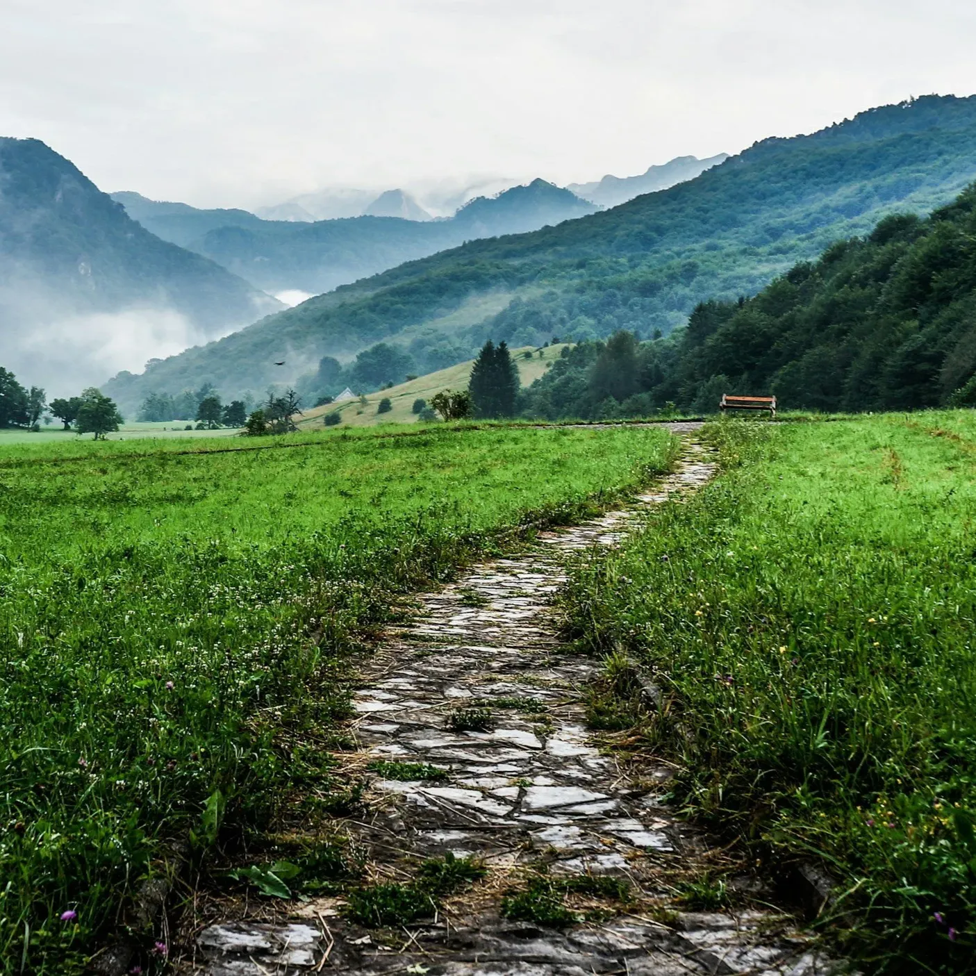 Sacred Pathways Through Grief | Yoga Therapy Training | 20% off w/ Code '20OFF'  thumbnail