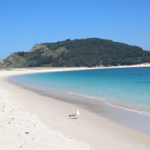 10 Imprescindibles si visitas Vigo. thumbnail