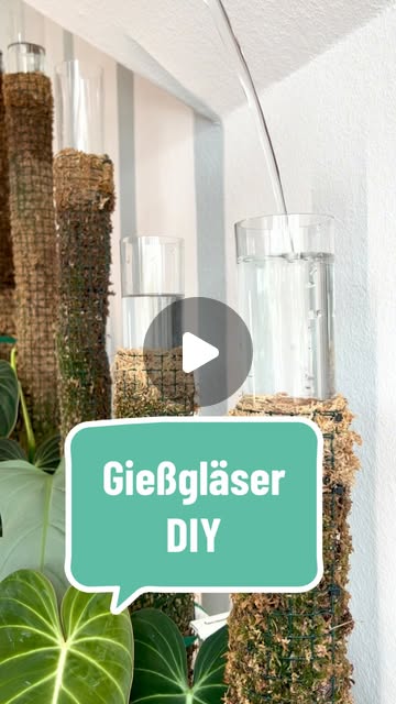 DIY zu unseren Gießgläsern😍😊 thumbnail