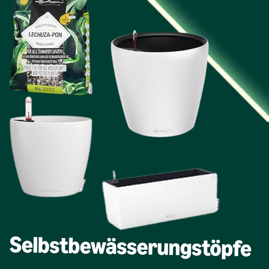 Selbstbewässerungstöpfe thumbnail