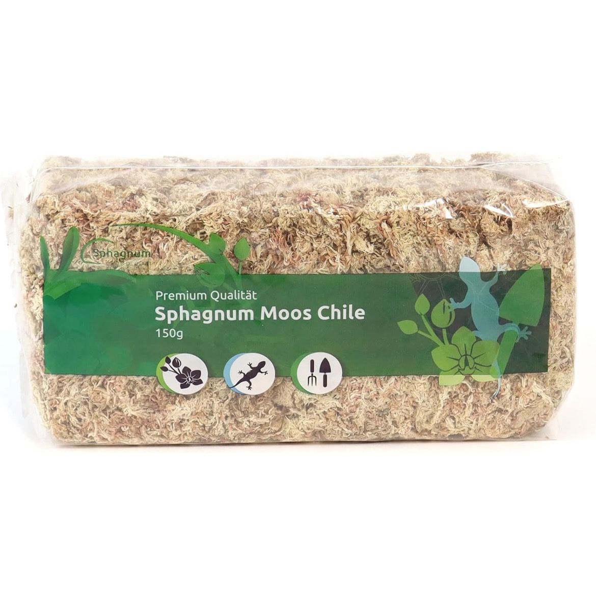 Sphagnum Moos  thumbnail
