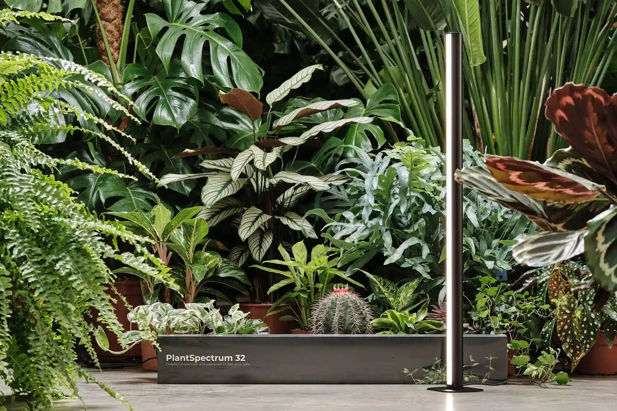 Mother -Pflanzenlampe 80 & 40cm  thumbnail