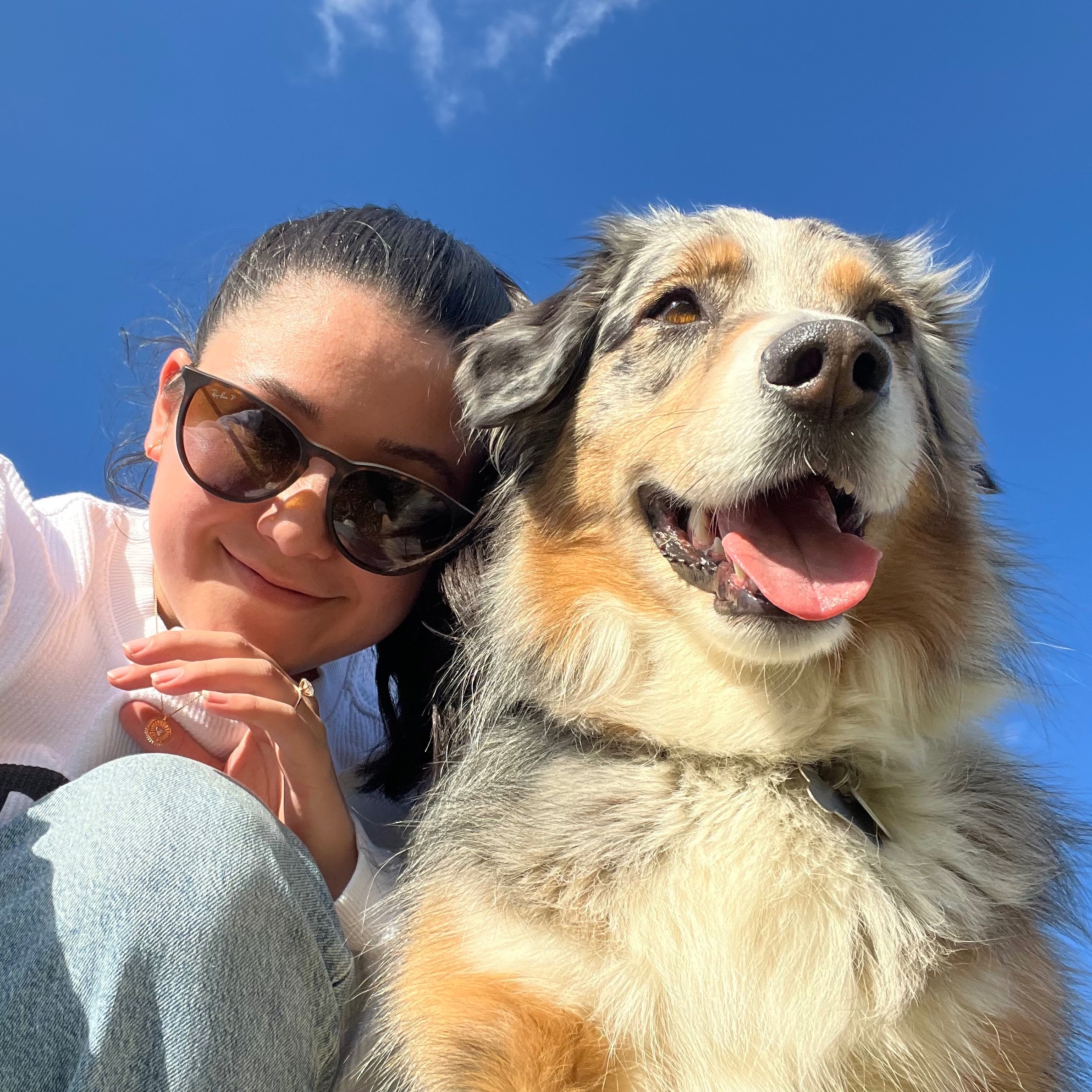 PEDIGREE FOUNDATION thumbnail