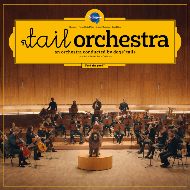 Tail Orchestra thumbnail