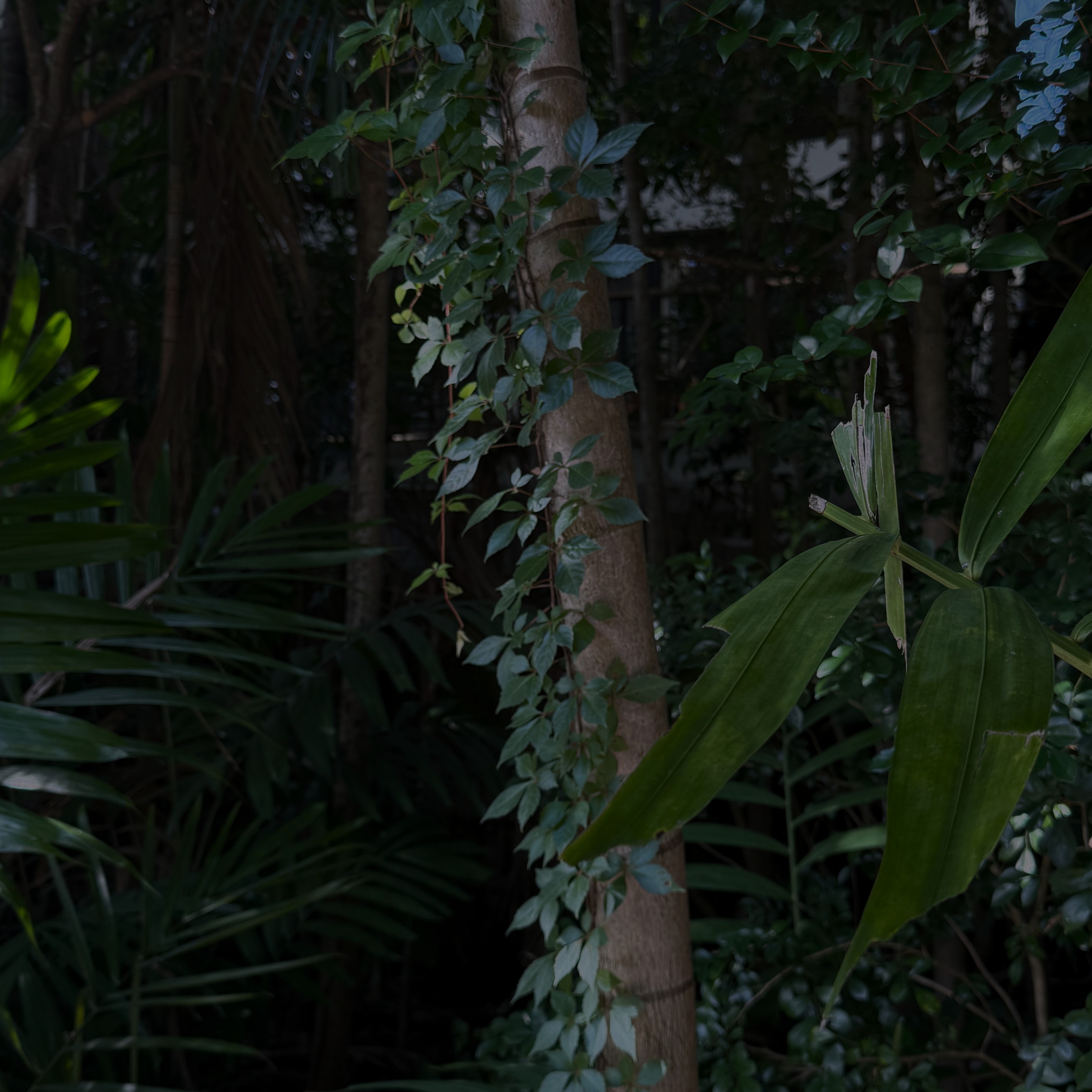 4/29: Gaia Healing Workshop (1 Hotel) thumbnail