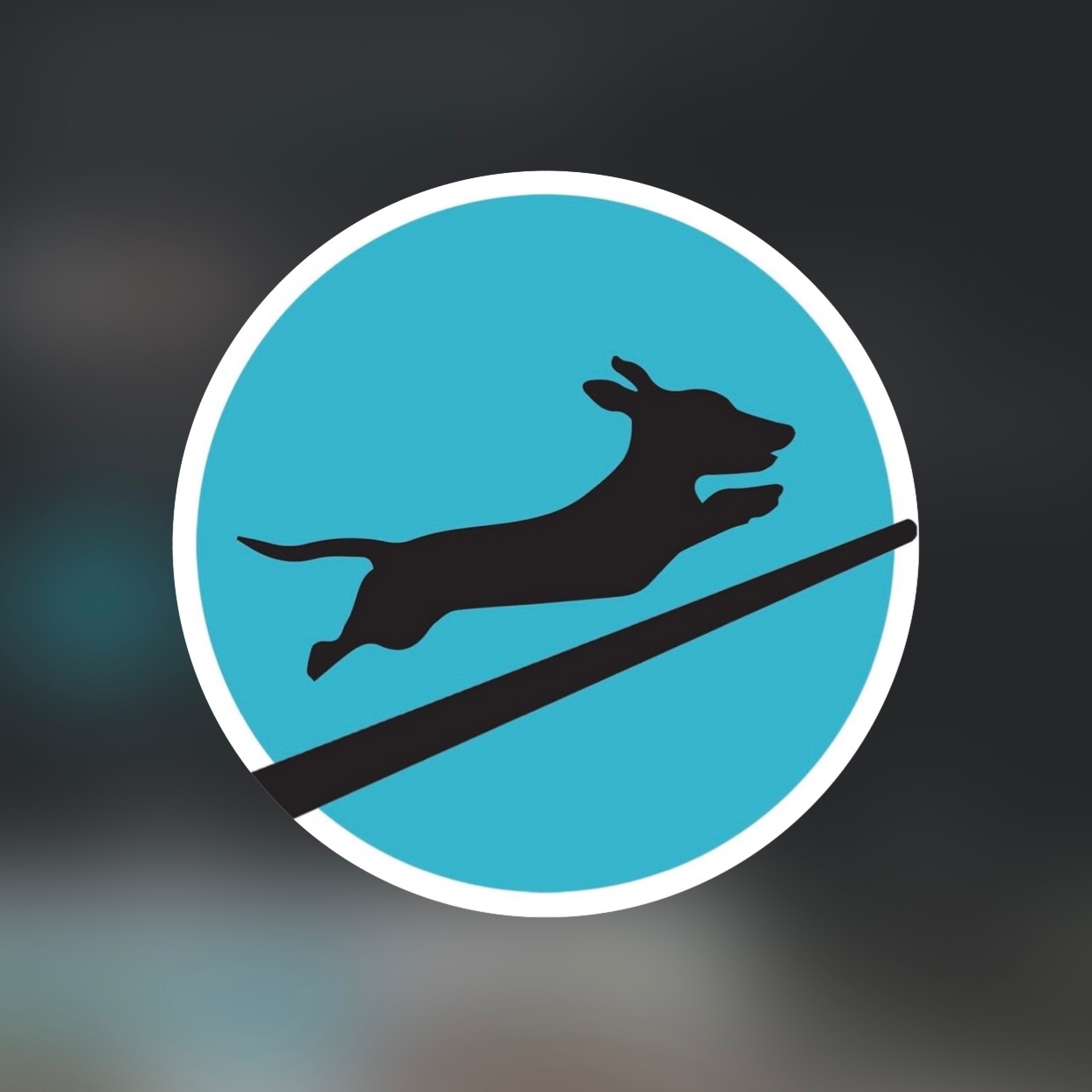 Doggo Ramps - 🏷️: DOLLYJEAN10 thumbnail