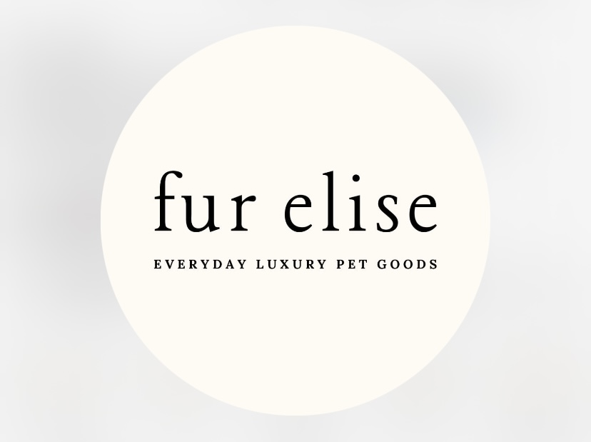 Fur Elise - 🏷️: DOLLY thumbnail