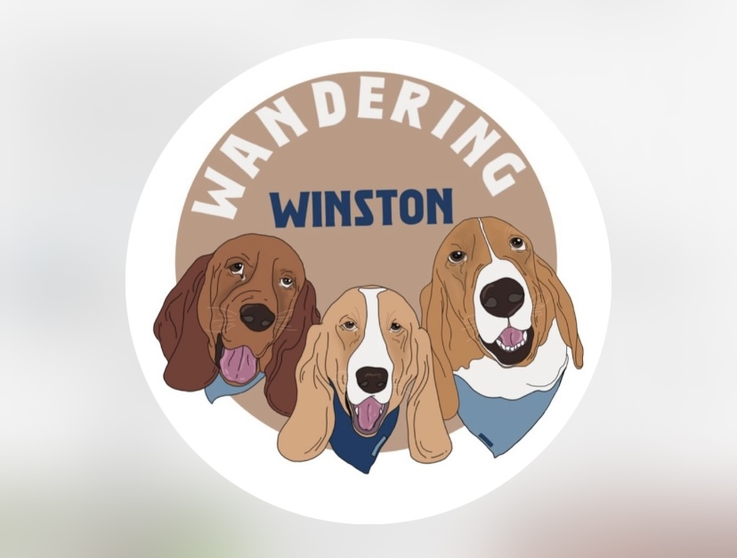 Wandering Winston Bandanas  thumbnail
