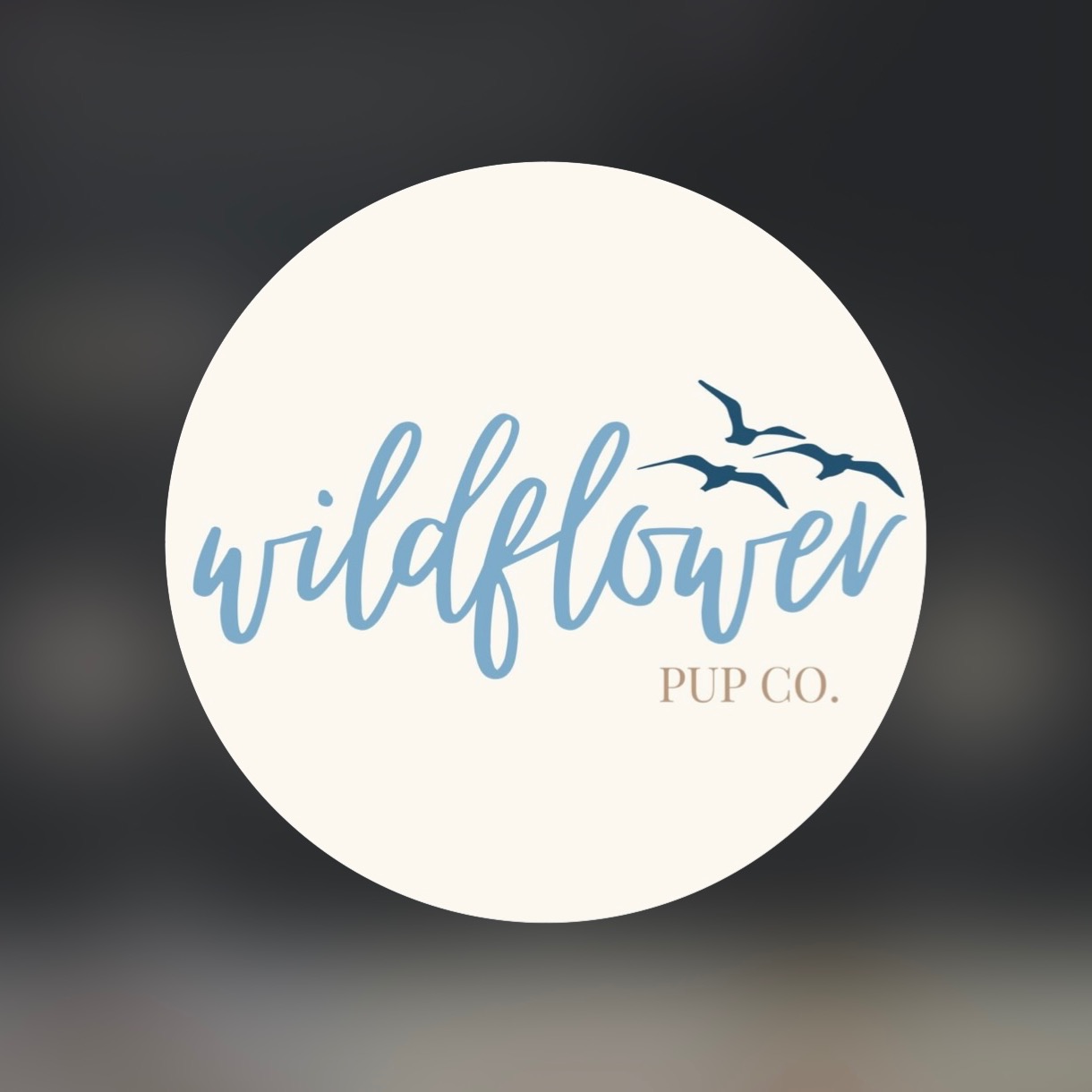Wildflower Pup Co. - 🏷️: DOLLY10 thumbnail