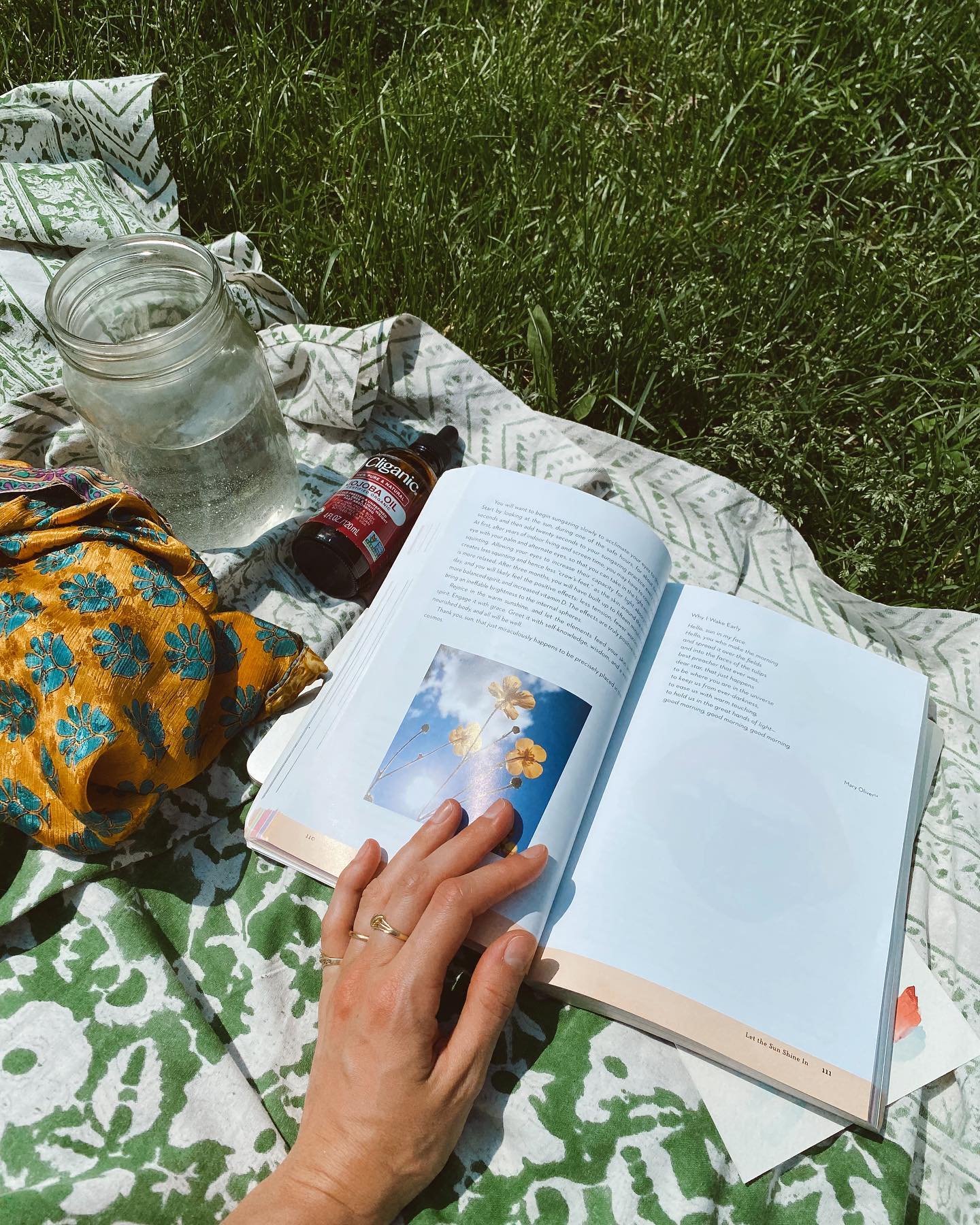 Sweet moments of spring. I love watching things come back to life after the long Maine winters. It’s always a time of im