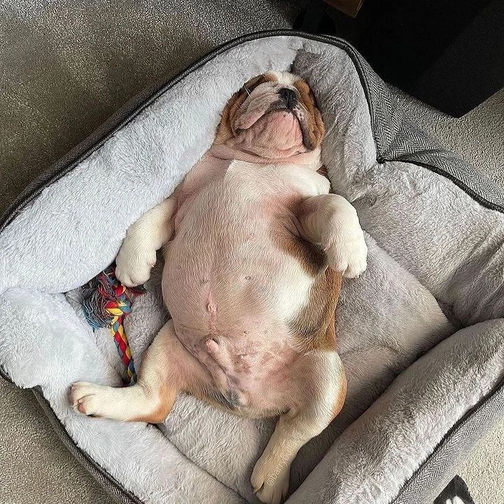hospedaje_choco thumbnail