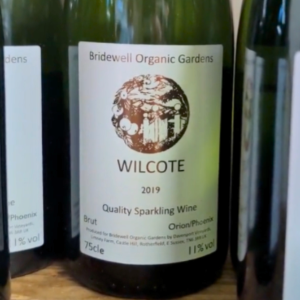 When Wine and Philanthropy Meet — Molly Coyle Shibley thumbnail