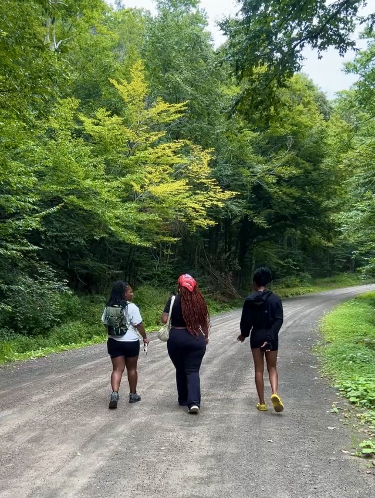 Hike, Heal & Read Retreat for Black & Brown Women | Pine Mountain Club, CA | May 28-31, 2026 thumbnail