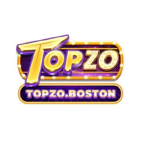 topzoboston - Overview thumbnail